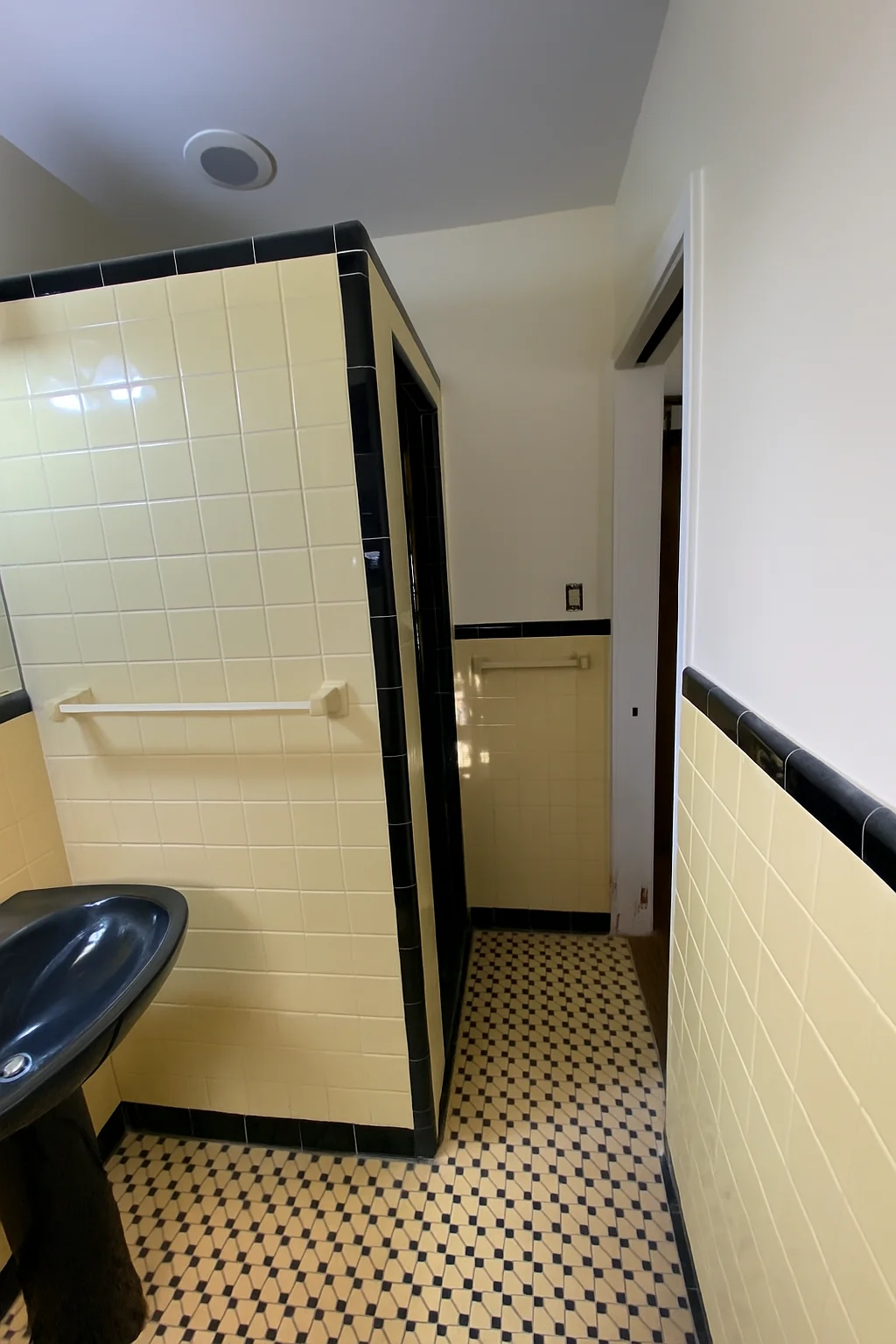 Walk-in shower renovation